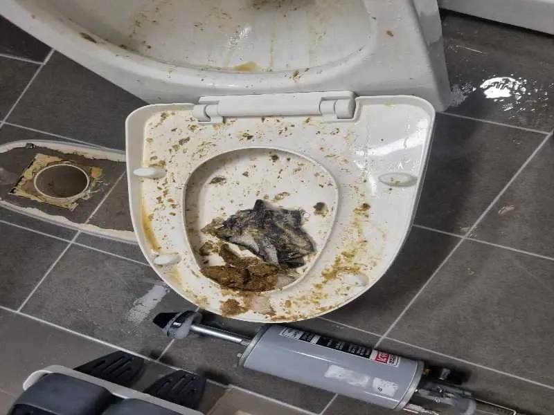 의정부 변기막힘 작업사례 6