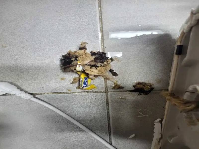 의정부 배관 이물질 제거 사례 5